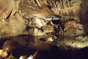 Grottes de Hotton
